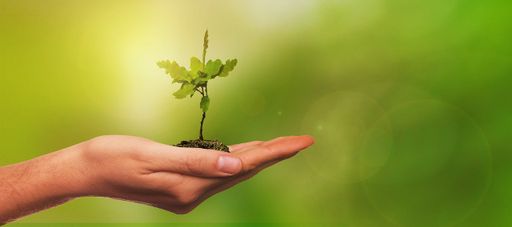 Lei da Política Nacional do Meio Ambiente