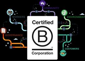 Passo a passo para adquirir a Certificação B para sua empresa