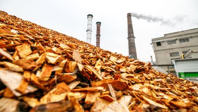 Biomassa de resíduos orgânicos: quais vantagens e desvantagens?