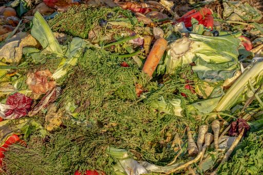 Compostagem x aterro sanitário