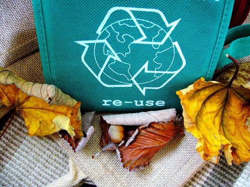 Entenda a importância da reciclagem para o seu negócio!