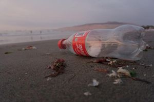 Principais resíduos na indústria de bebidas