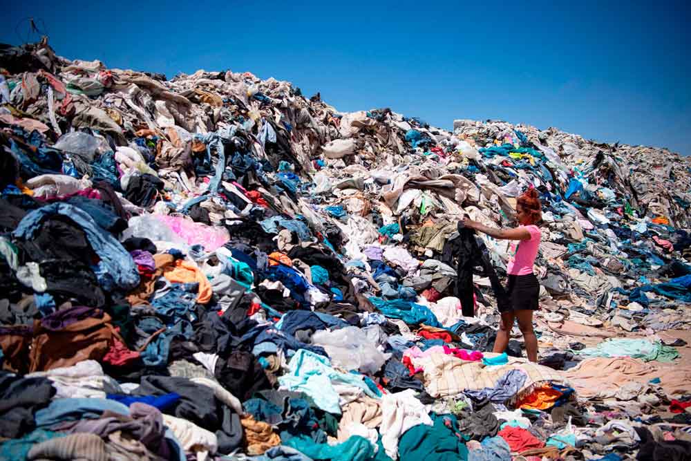 Mais de 500 pessoas já participaram de quiz sobre meio ambiente de