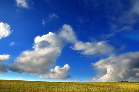 O que é Indicador de Condição Ambiental (ICA)?