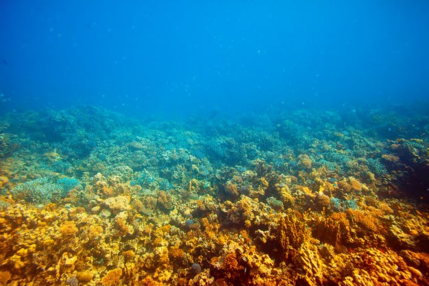 lançamento de resíduos no oceano