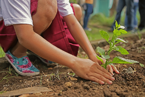 Você sabe o que é IPTU Verde?