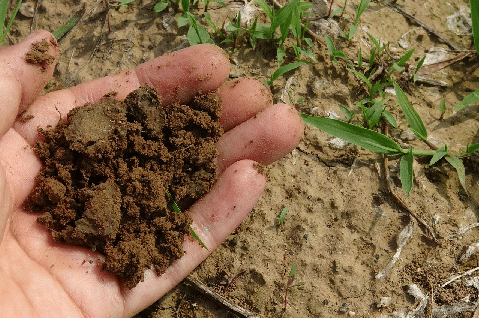 Resolução CONAMA Nº 481: controle e qualidade ambiental do processo de compostagem de resíduos orgânicos