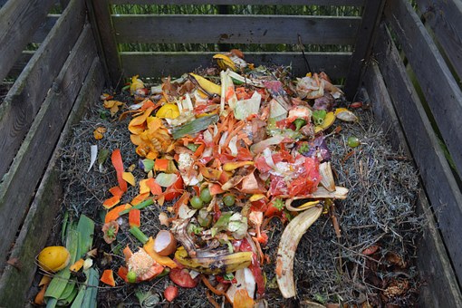 gestão de resíduos e compostagem