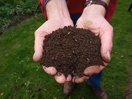 Compostagem: entenda mais sobre a reciclagem do lixo orgânico