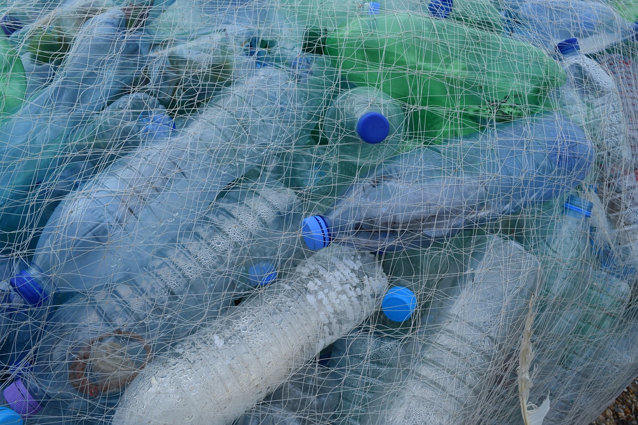 ganhar dinheiro com a reciclagem