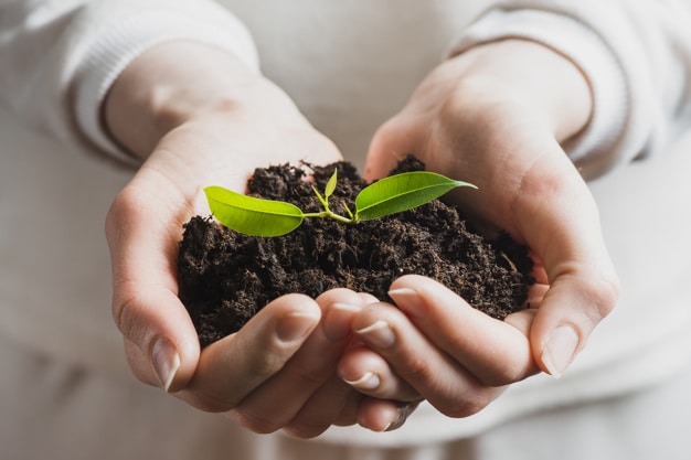 principais tipos de licença ambiental