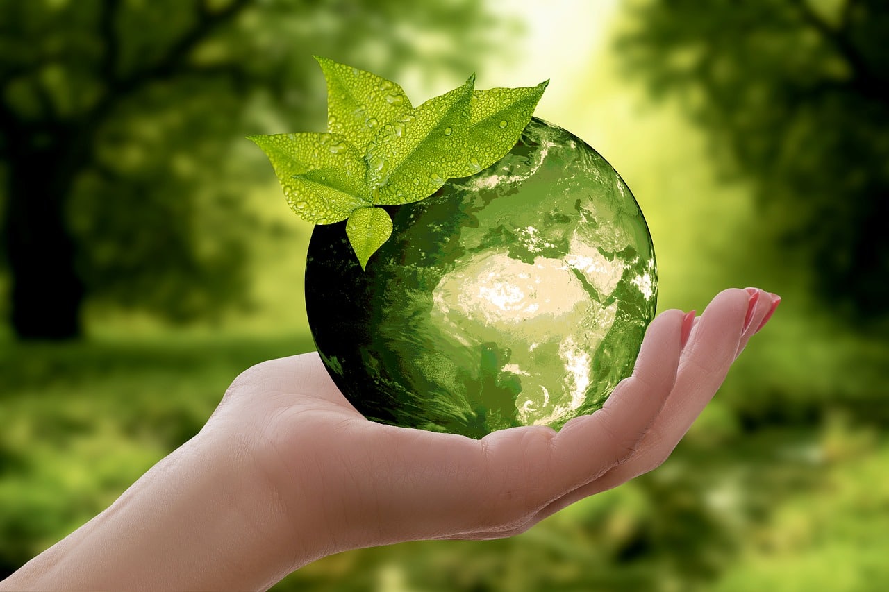 gestão de resíduos contribui para o desenvolvimento sustentável