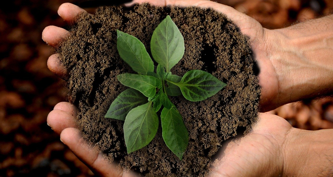 Quais vantagens do marketing verde e saiba como usá-lo na sua empresa?