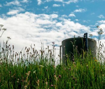 Vista em ângulo baixo, através de grama alta e algumas flores silvestres, de um grande tanque cilíndrico de cor escura, característico de um biodigestor, instalado em um campo. Ao fundo, um céu azul com nuvens brancas esparsas complementa a cena. A imagem ilustra uma solução de saneamento ecológico e produção de energia renovável (biogás) a partir de resíduos orgânicos, integrada a um ambiente natural e promovendo a sustentabilidade.