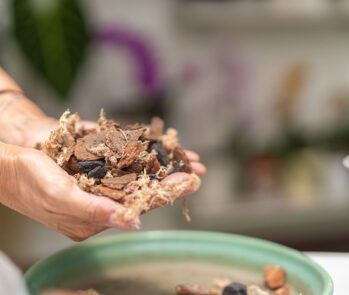 Imagem de mãos segurando biomassa de resíduos orgânicos, composta por materiais como cascas de madeira, fibras vegetais e restos naturais. A biomassa é amplamente utilizada como fonte de energia renovável e sustentável, além de ser fundamental para processos de compostagem, adubação e redução de resíduos sólidos urbanos. Ideal para conteúdos sobre economia circular, gestão de resíduos orgânicos, energias renováveis e sustentabilidade ambiental.