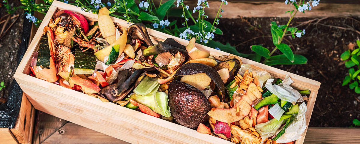 Caixa de compostagem com resíduos orgânicos de alimentos, demonstrando quais materiais podem ser colocados na composteira doméstica.