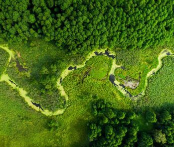 Ecossistema de rio e floresta visto de cima, simbolizando o meio ambiente protegido pela responsabilidade administrativa.